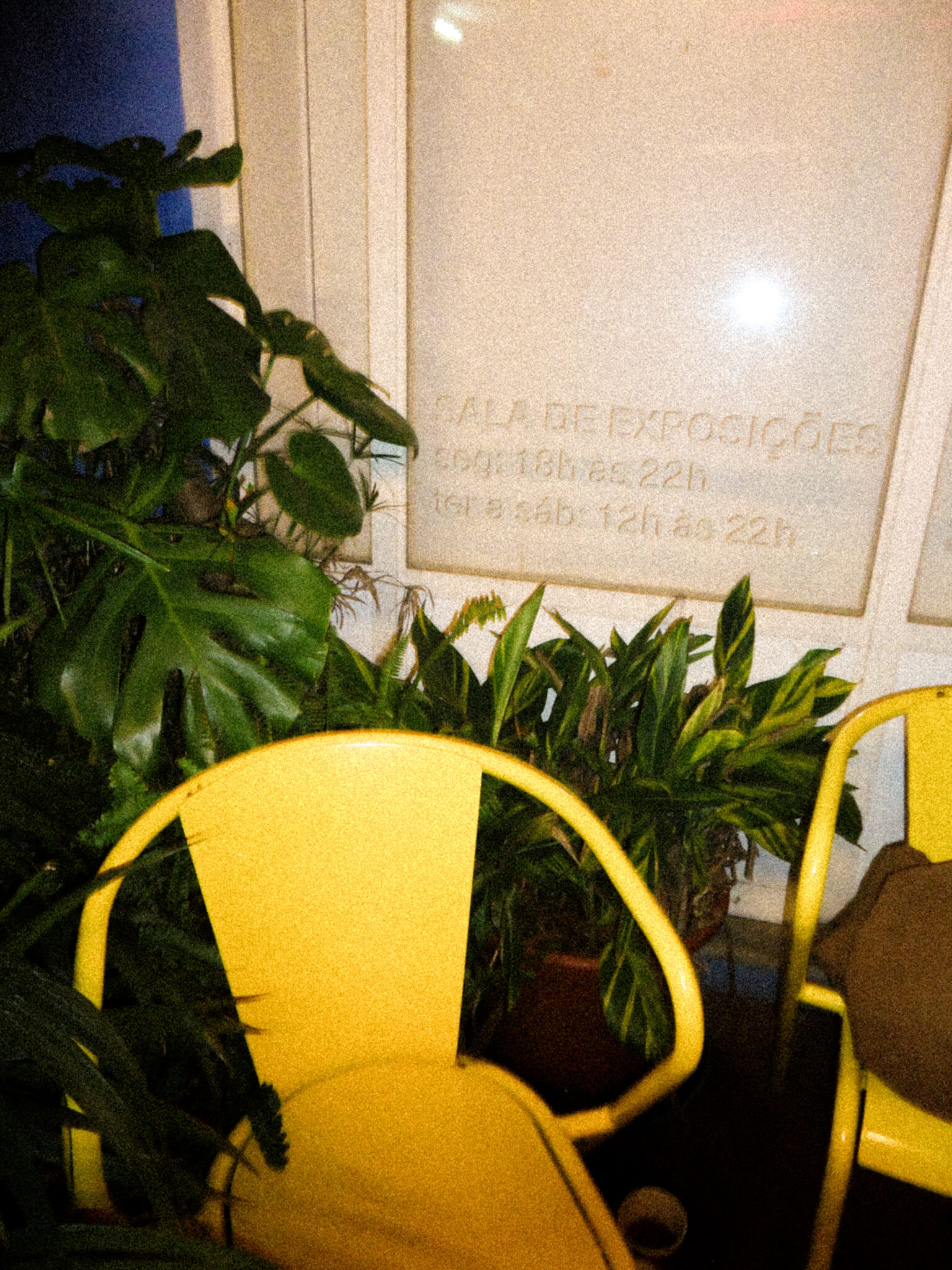 DSC06535